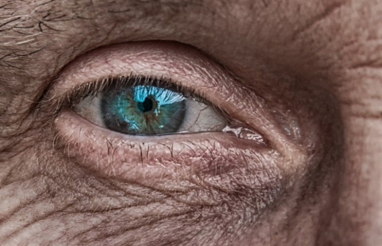 Complemento de paternidad